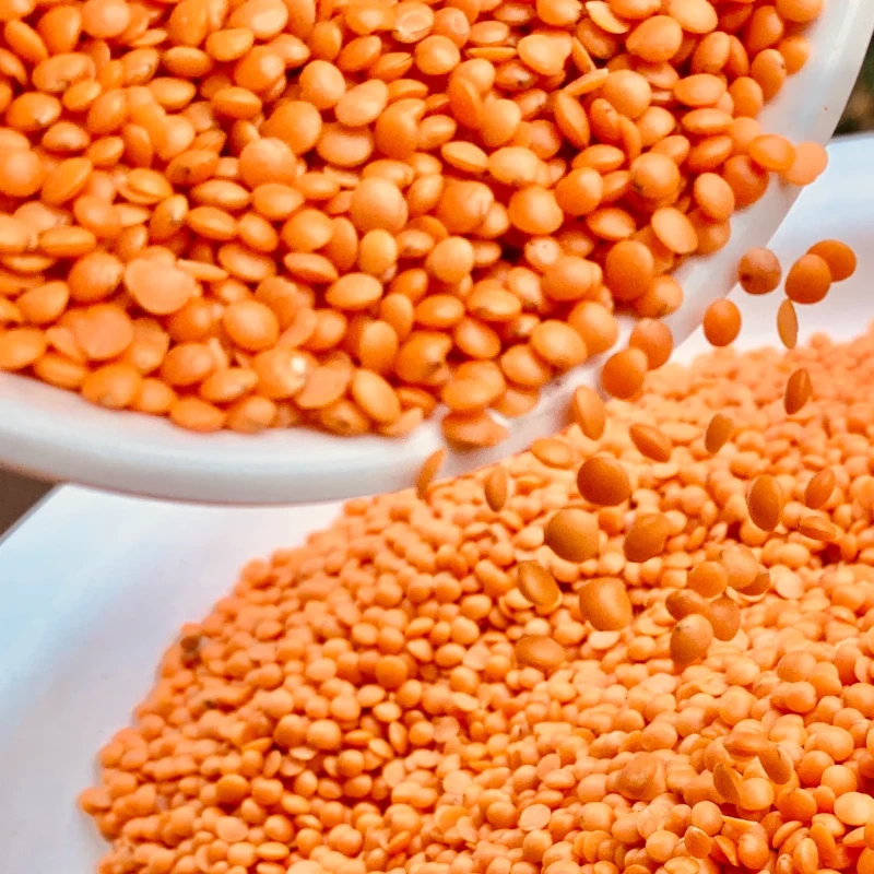 Moshur Dal (Imported)